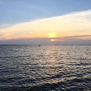 Meet your Posher, Avery